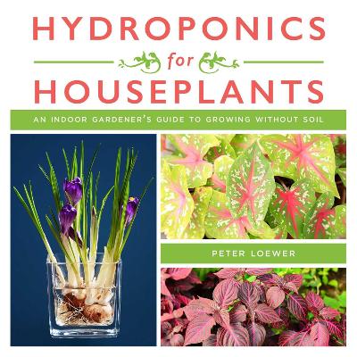Book cover for Hydroponics for Houseplants