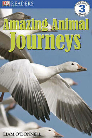 Cover of Amazing Animal Journeys