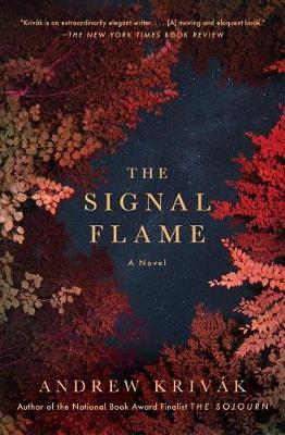 Book cover for The Signal Flame