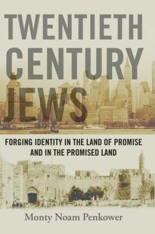 Cover of Twentieth Century Jews: Forging Identity in the Land of Promise and in the Promised Land