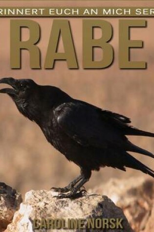 Cover of Rabe