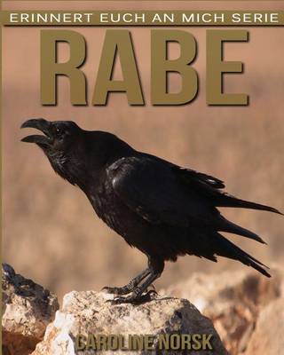 Book cover for Rabe