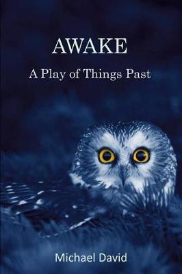 Book cover for Awake