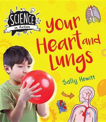 Book cover for Your Heart & Lungs