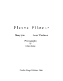 Book cover for Fleuve Flaneur