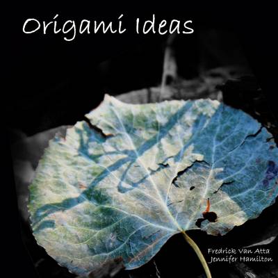 Book cover for Origami Ideas