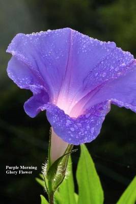 Book cover for Purple Morning Glory Flower