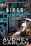 Book cover for Biker Beauties