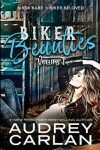 Book cover for Biker Beauties