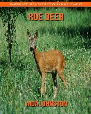 Book cover for Roe Deer