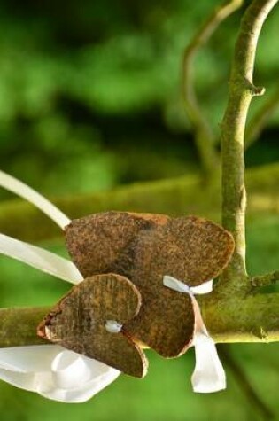 Cover of Hearts Made of Bark Tied to a Tree