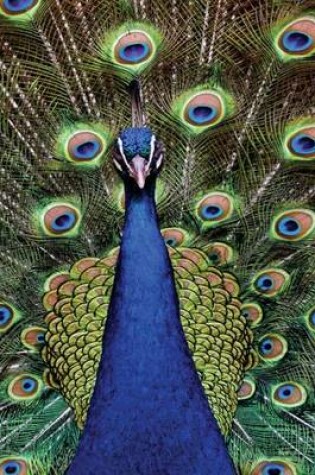 Cover of Peacock