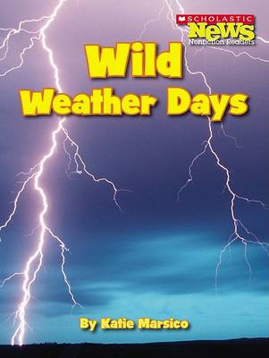 Book cover for Wild Weather Days