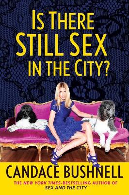 Book cover for Is There Still Sex in the City?