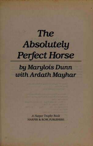 Book cover for The Absolutely Perfect Horse