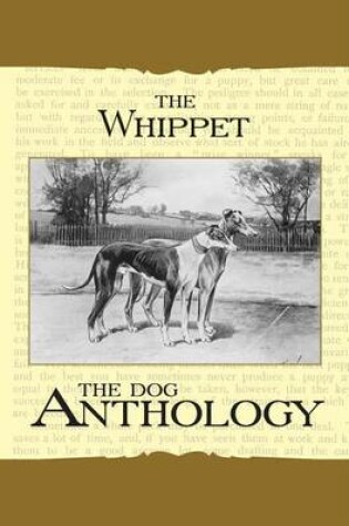 Cover of The Whippet - A Dog Anthology (a Vintage Dog Books Breed Classic)