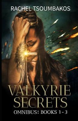 Book cover for Valkyrie Secrets Omnibus