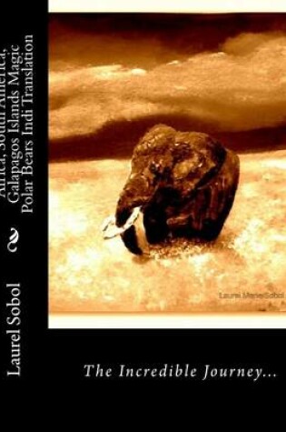Cover of Africa, South America, Galapagos Islands Magic Polar Bears Indi Translation