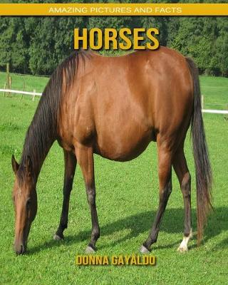 Book cover for Horses