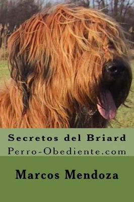 Book cover for Secretos del Briard