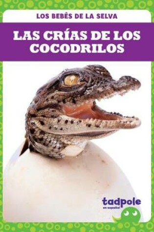 Cover of Las Crías de Los Cocodrilos (Crocodile Hatchlings)