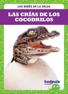 Book cover for Las Crías de Los Cocodrilos (Crocodile Hatchlings)