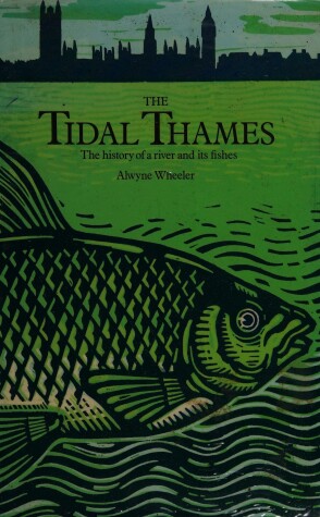 Book cover for Tidal Thames