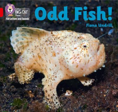 Book cover for Odd Fish!