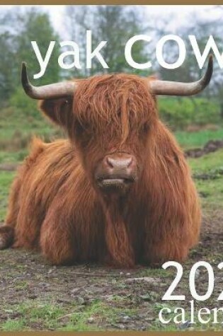Cover of yak cow