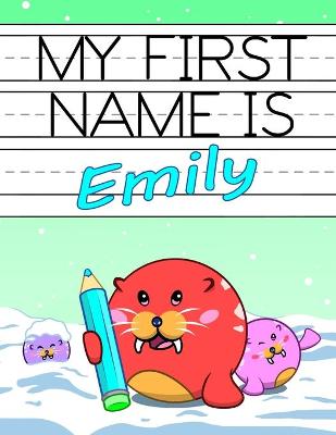 Book cover for My First Name is Emily