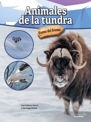 Book cover for Animales de la Tundra