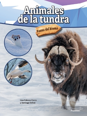 Cover of Animales de la Tundra