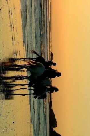 Cover of Riding Horses at Sunset on the Oregon Coast