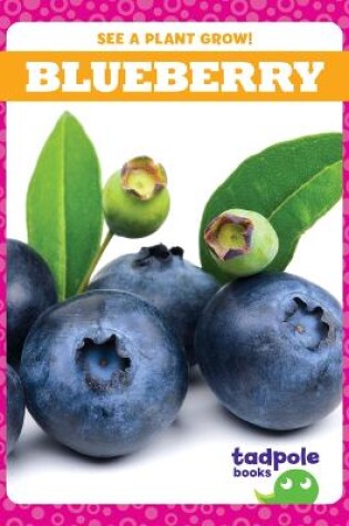 Cover of Blueberry