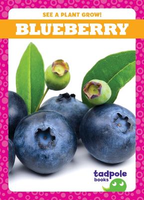 Book cover for Blueberry