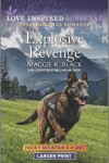 Book cover for Explosive Revenge