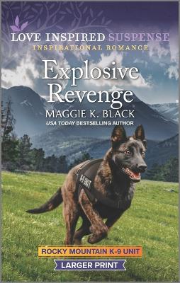 Cover of Explosive Revenge