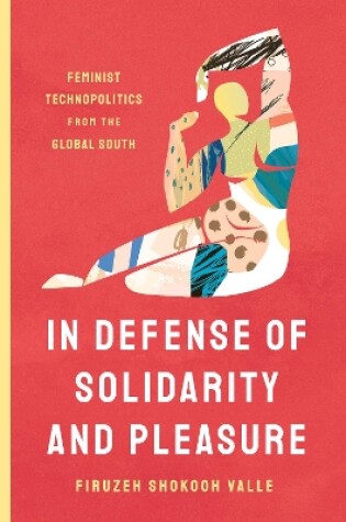 Cover of In Defense of Solidarity and Pleasure