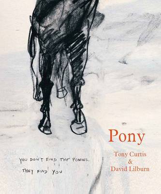 Book cover for Pony