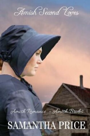 Cover of Amish Second Loves