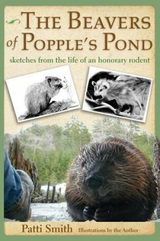 Cover of The Beavers of Popple's Pond