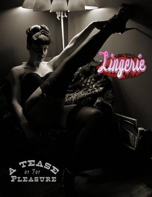 Book cover for Lingerie