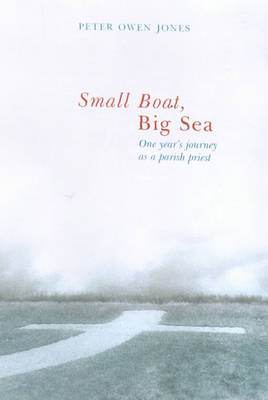 Book cover for Small Boat, Big Sea