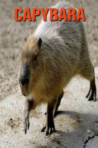 Cover of Capybara