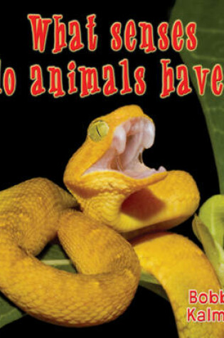 Cover of What Senses Do Animals Have