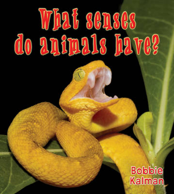 Cover of What Senses Do Animals Have