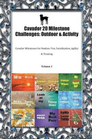 Cover of Cavador 20 Milestone Challenges