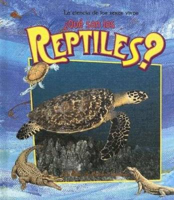 Book cover for Que son los Reptiles?