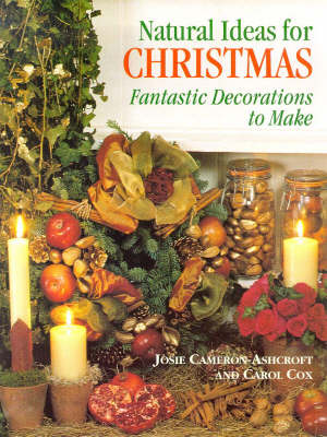 Book cover for Natural Ideas for Christmas