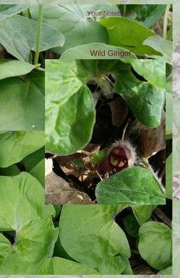 Book cover for Your Notebook! Wild Ginger